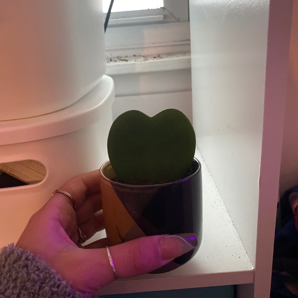 Meet your Posher, Maria - Picture 1 of 1